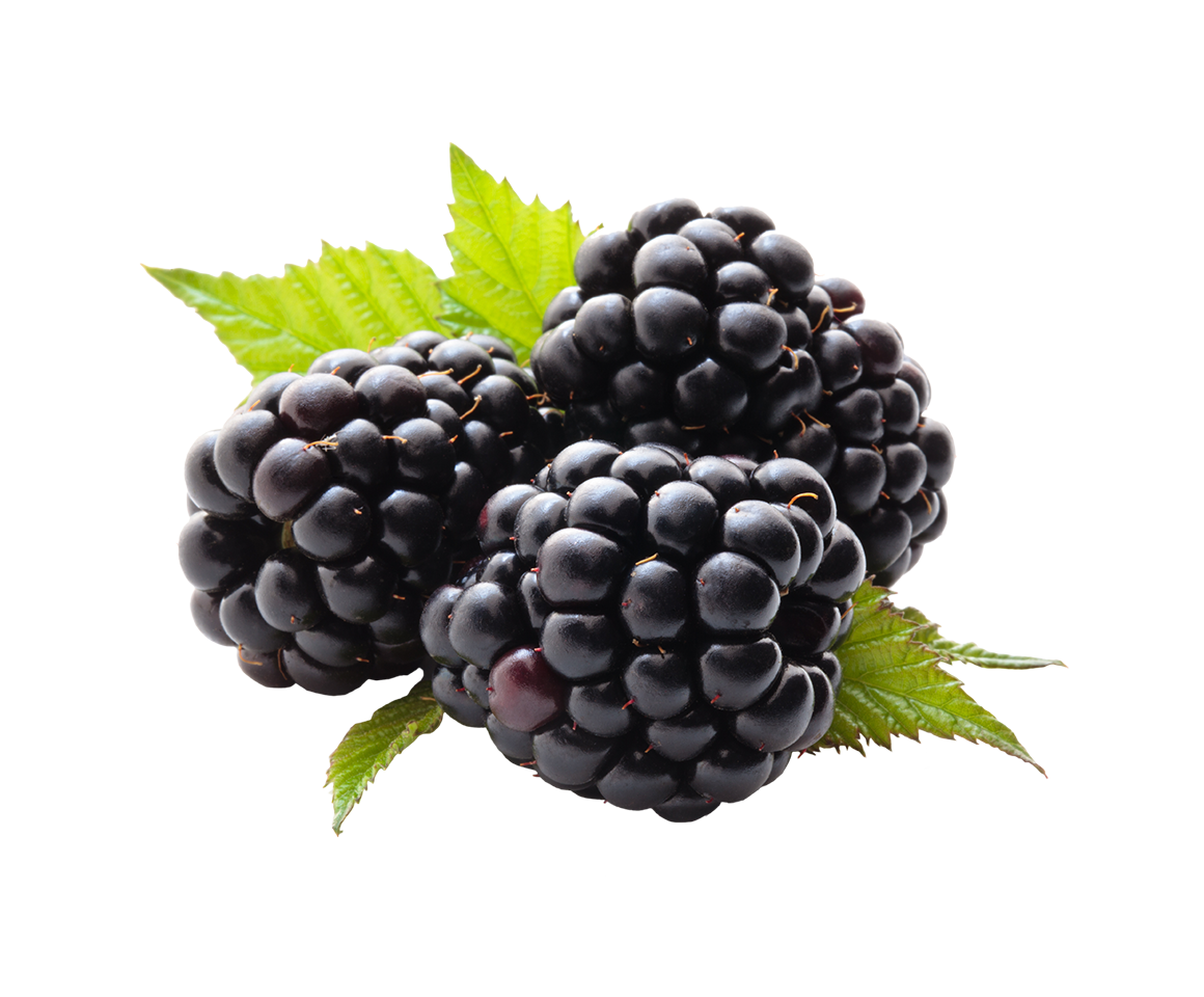Blackberry with Green Leaves PNG HQ Image