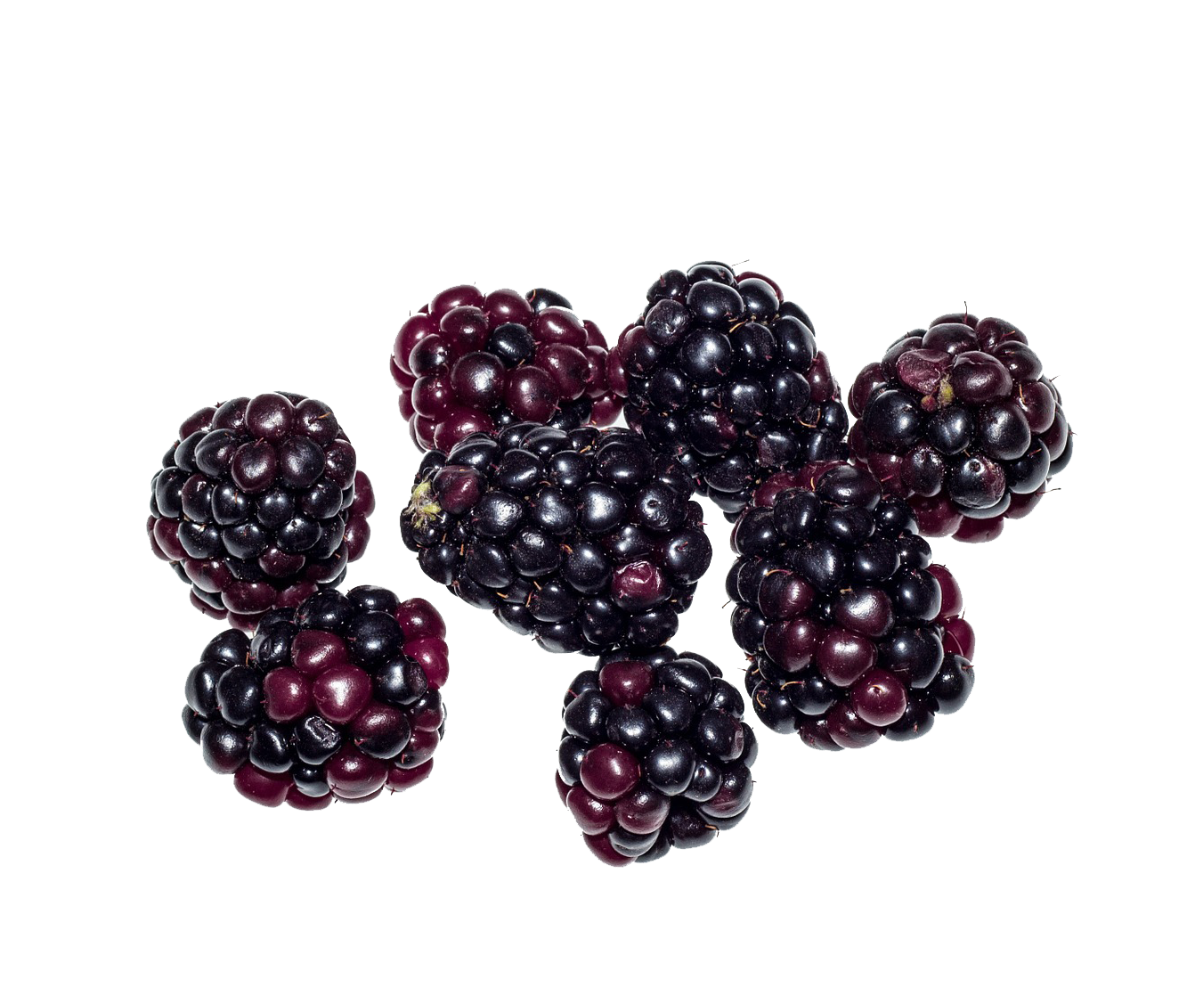 Blackberry Fruit PNG in Transparent - Blackberry Fruit Png