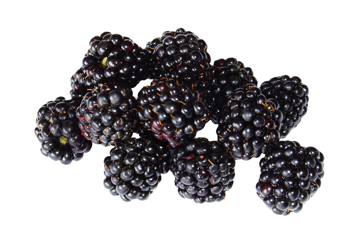 Blackberry Fruit PNG HD and HQ Image