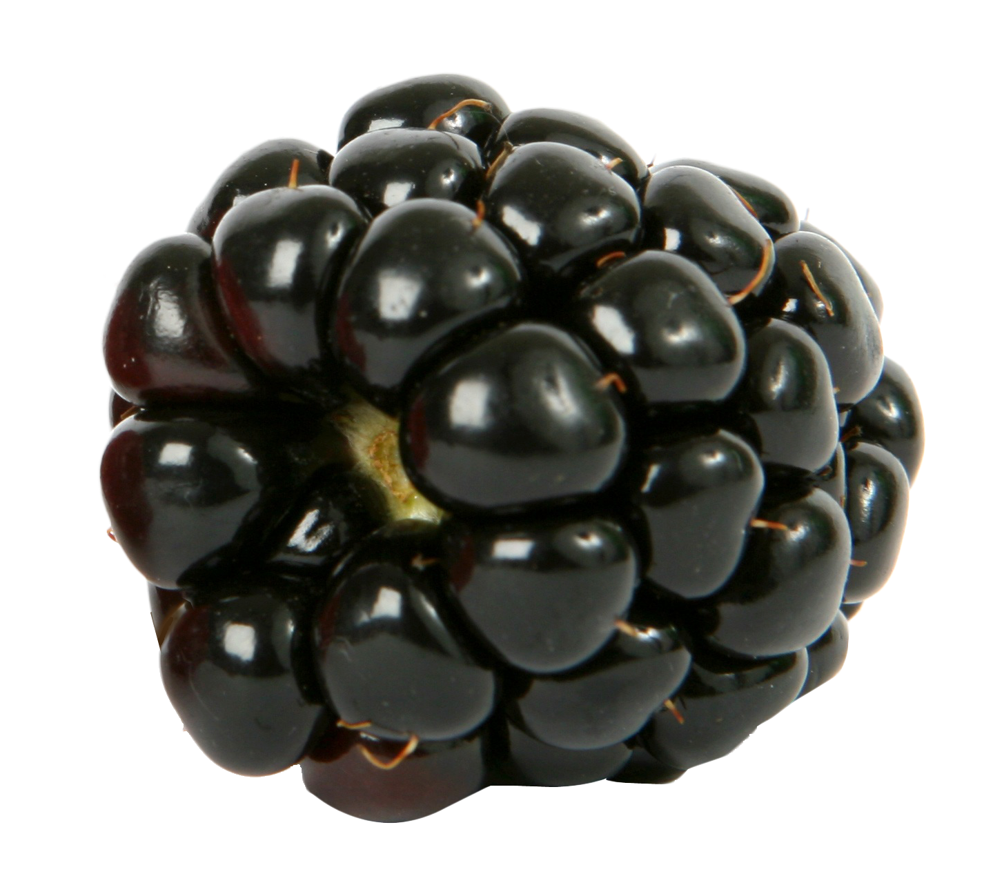 Fresh Blackberry Fruit PNG Image in High Definition