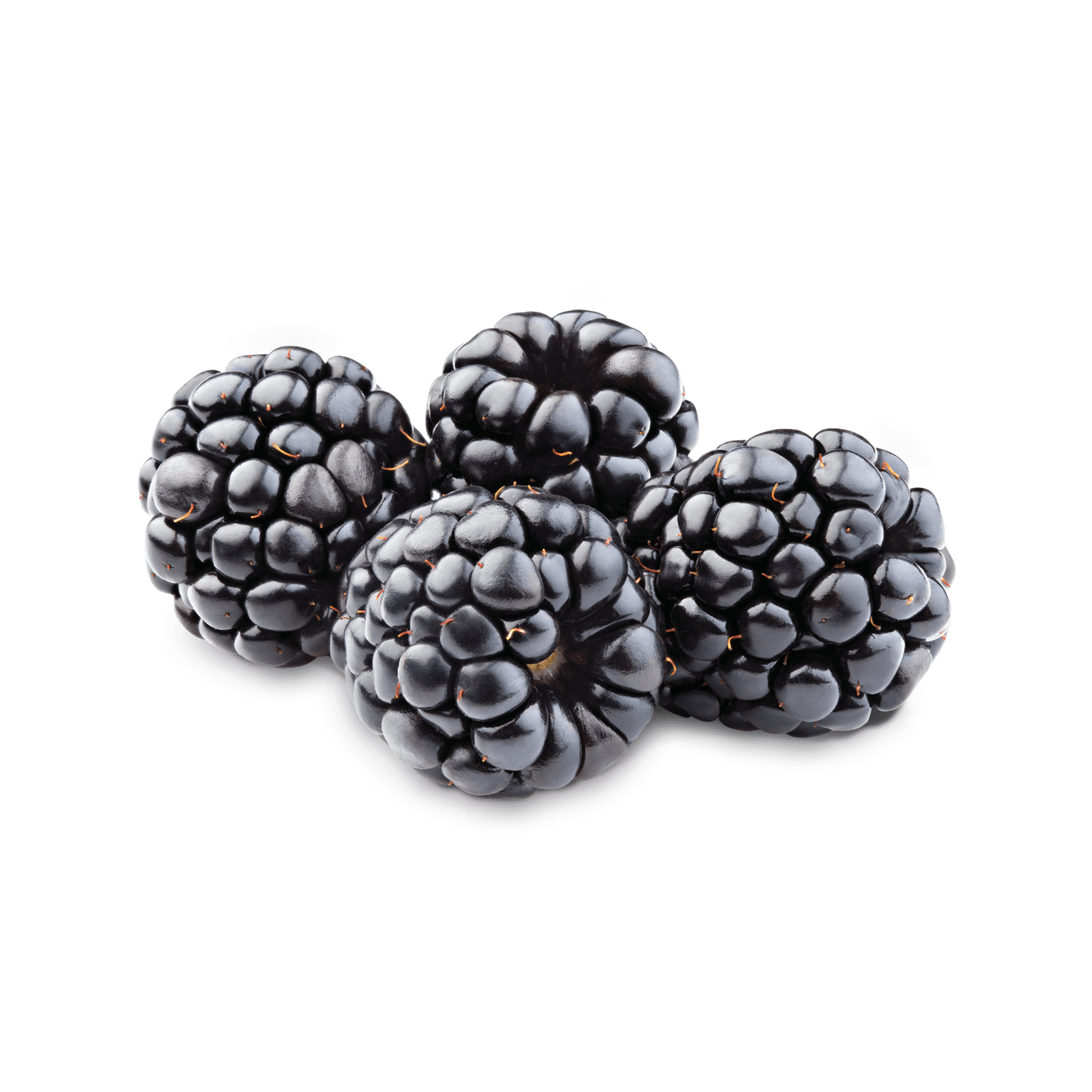 Blackberry Fruit PNG - Blackberry Fruit Png