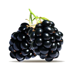 Blackberry Fruit PNG High Definition Photo Image - Blackberry Fruit Png