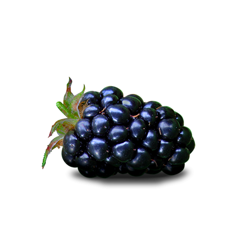 Blackberry Fruit PNG HD and HQ Image - Blackberry Fruit Png
