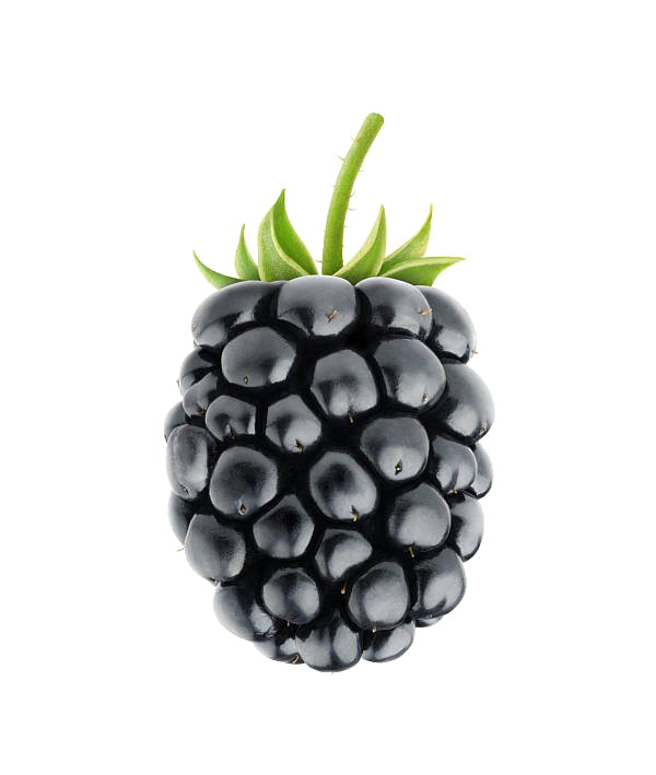 Blackberry Fruit PNG High Definition Photo Image