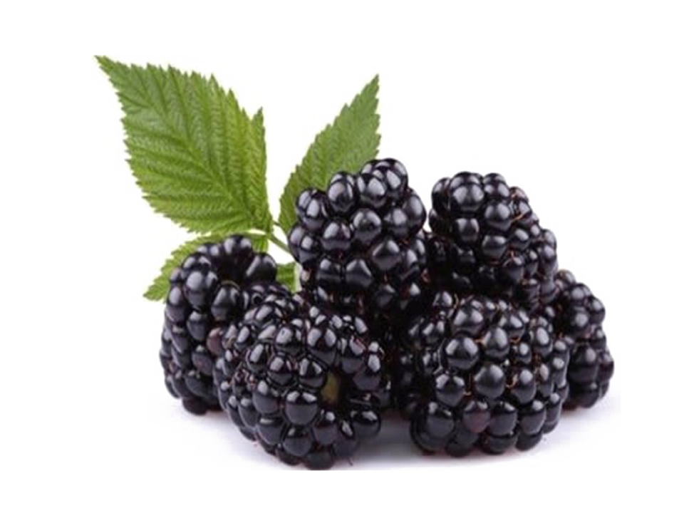 Blackberry Fruit PNG HD Image - Blackberry Fruit Png