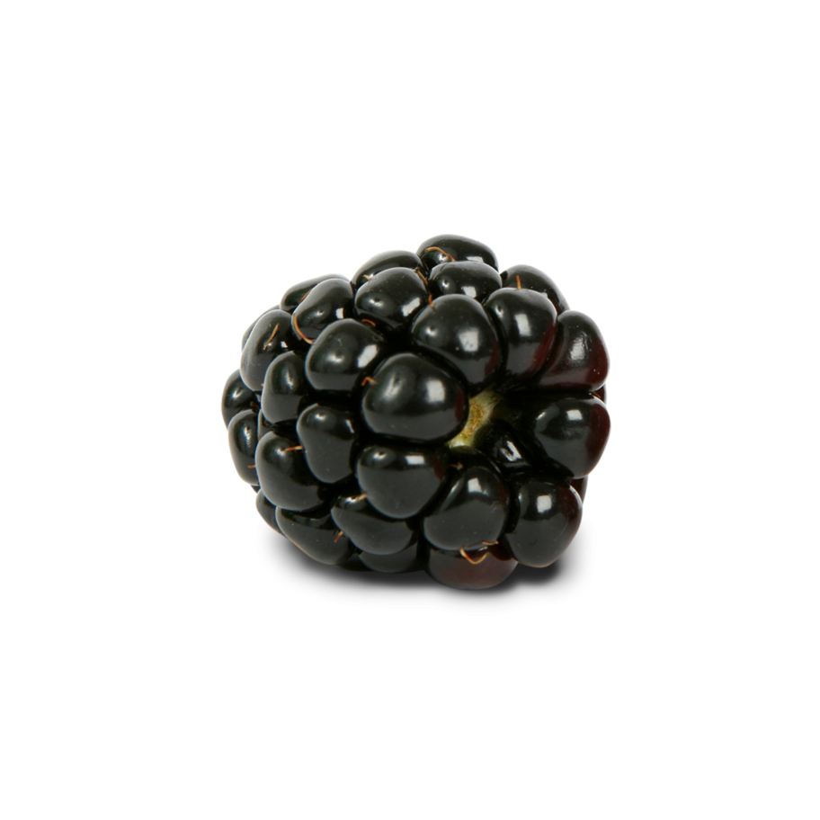 Blackberry Fruit PNG pngteam.com