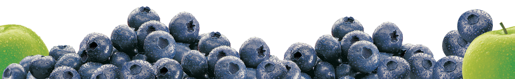 Blueberry PNG Best Image pngteam.com