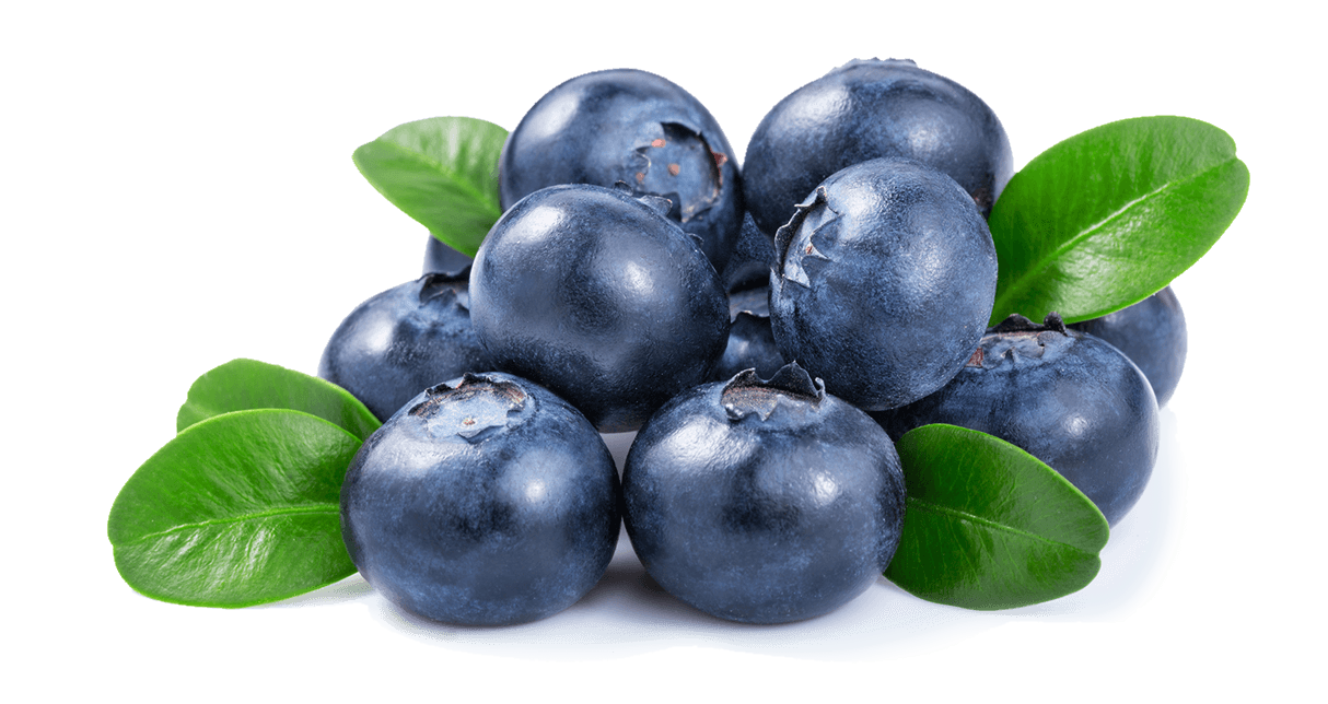 Blueberry PNG pngteam.com