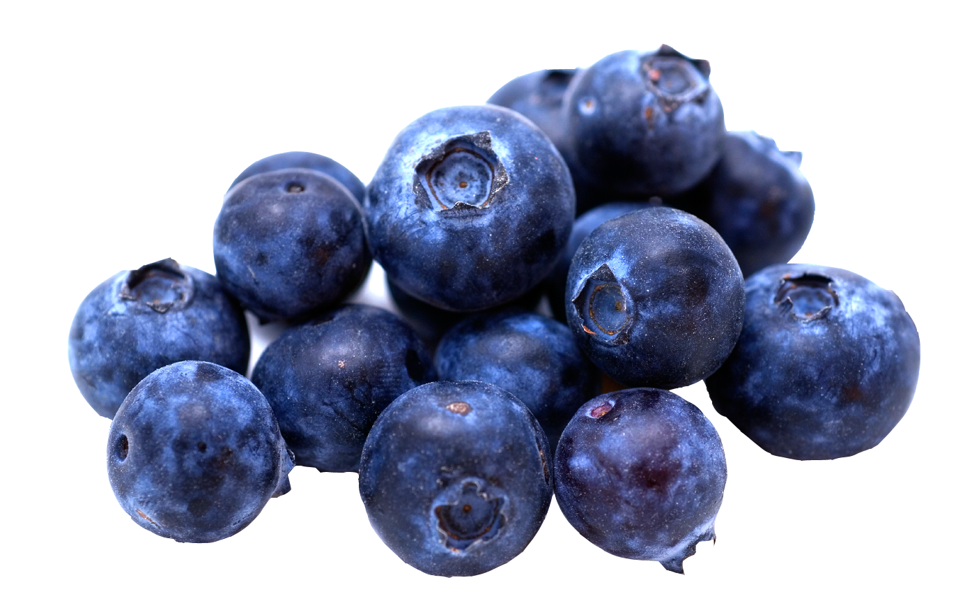 Blueberry PNG Transparent pngteam.com