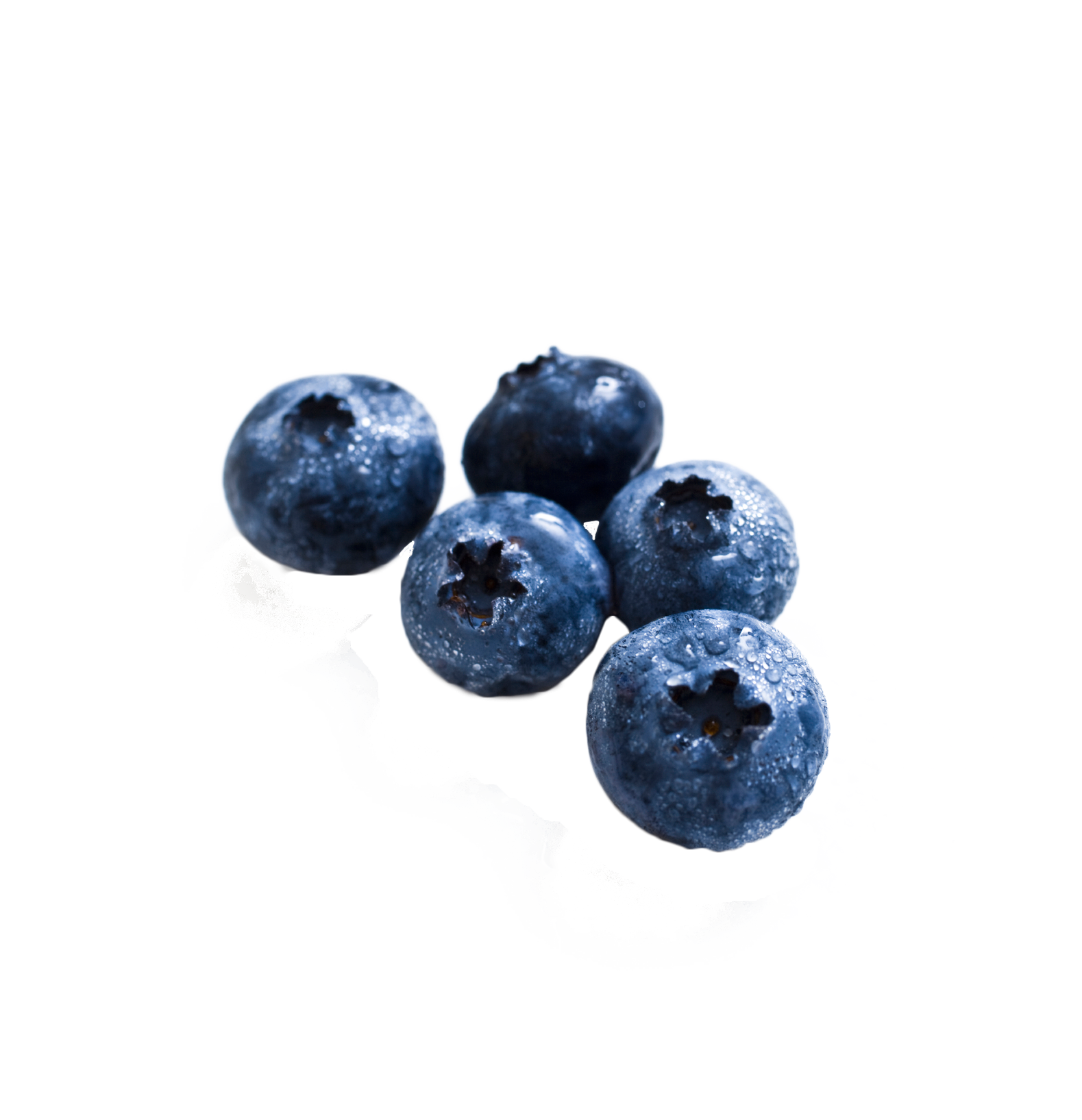 Blueberry PNG Transparent pngteam.com