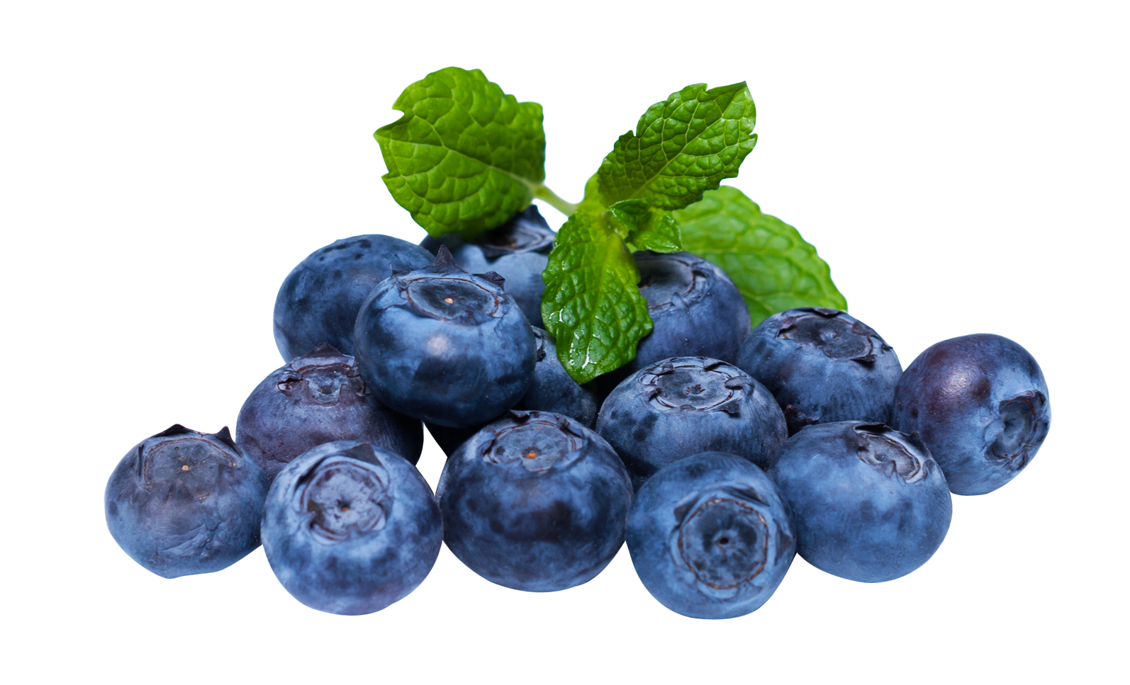 Blueberry PNG Transparent pngteam.com