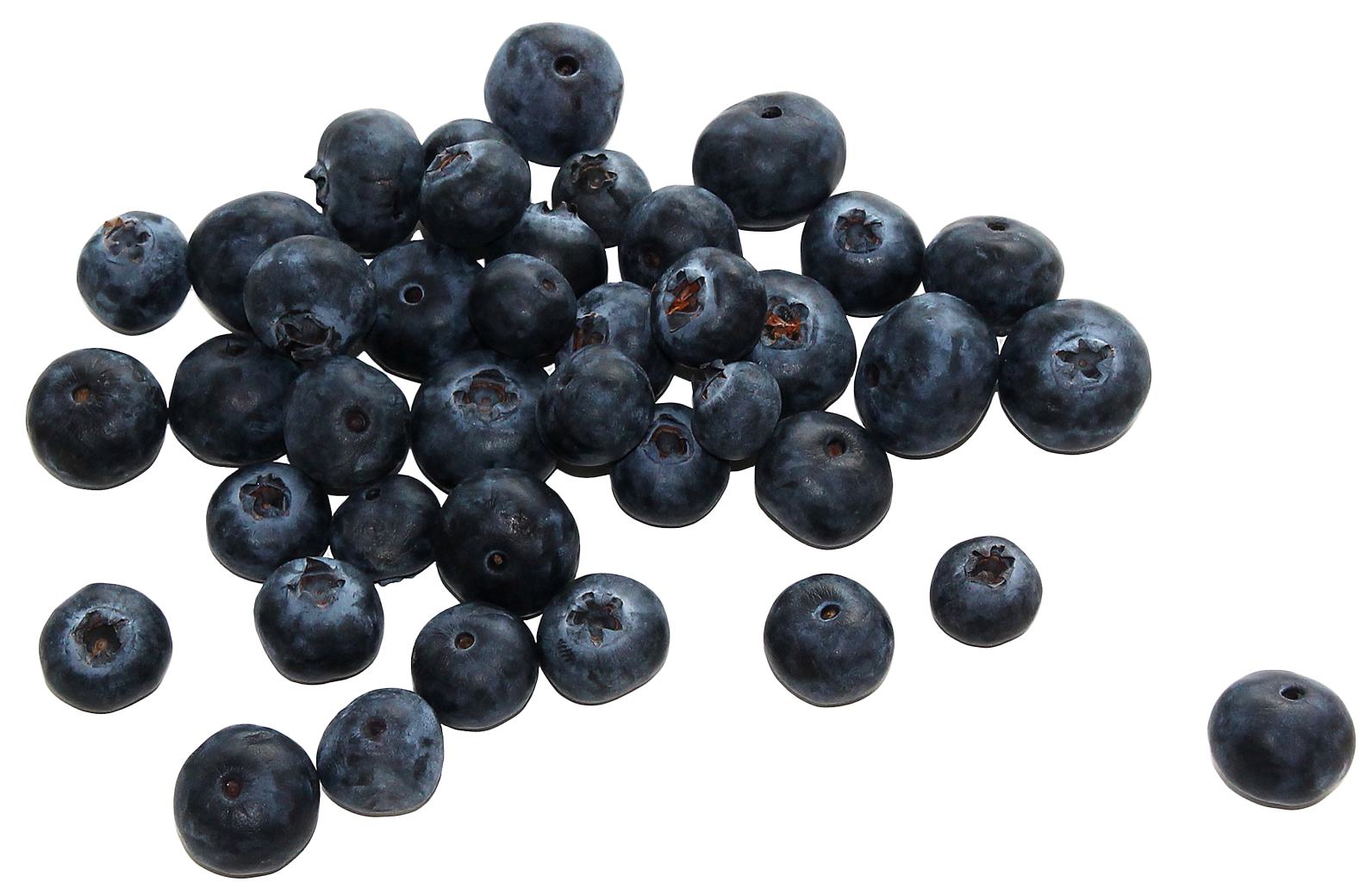 Blueberry PNG HD Images pngteam.com