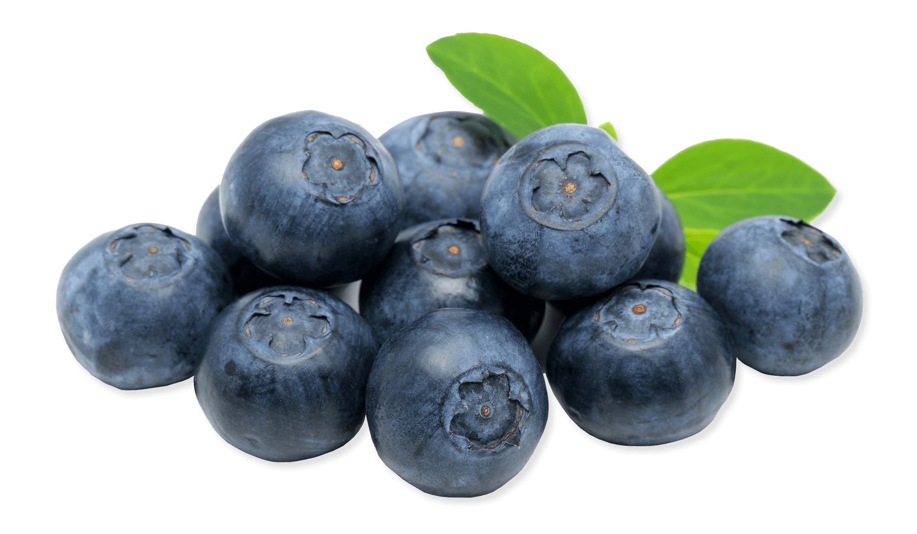 Blueberry PNG HD pngteam.com