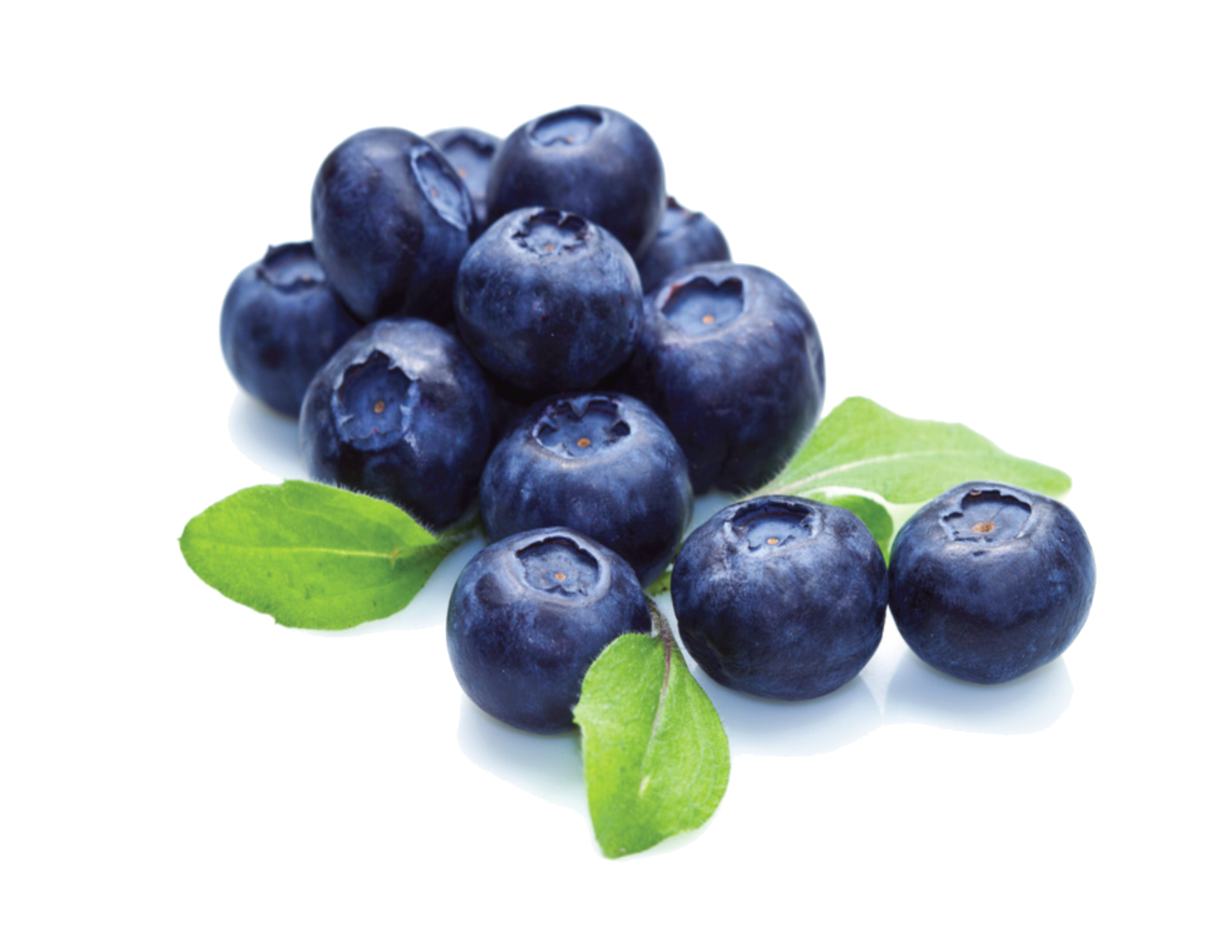 Blueberry PNG File pngteam.com