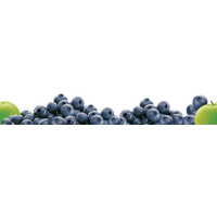 Blueberry PNG HD Image pngteam.com