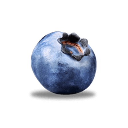 Blueberry PNG Images pngteam.com