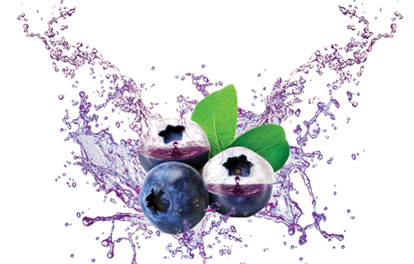 Blueberry PNG pngteam.com