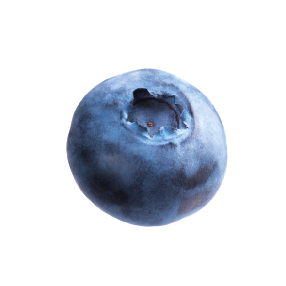 Blueberry PNG File pngteam.com