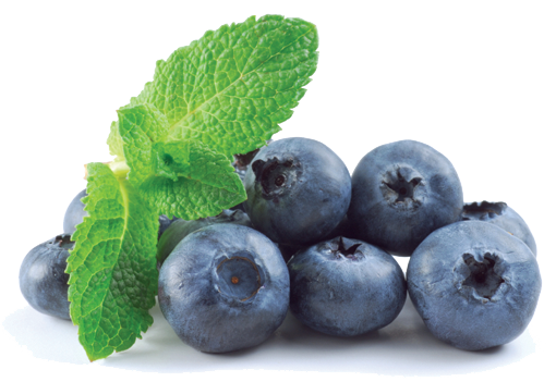 Blueberry PNG HD File pngteam.com