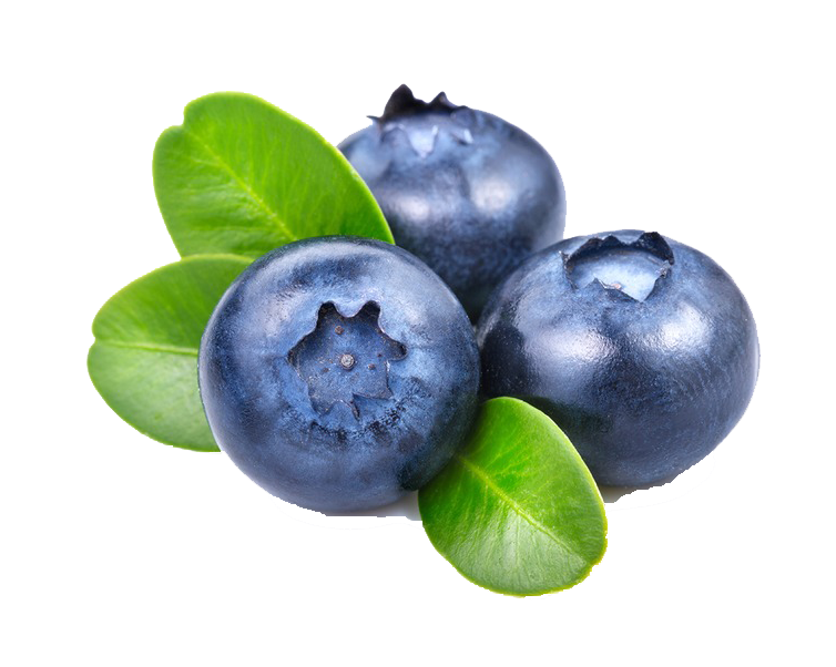 Blueberry PNG in Transparent pngteam.com