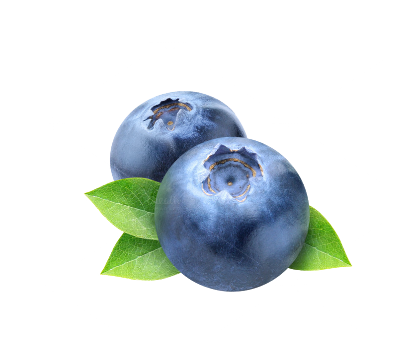 Blueberry PNG in Transparent pngteam.com