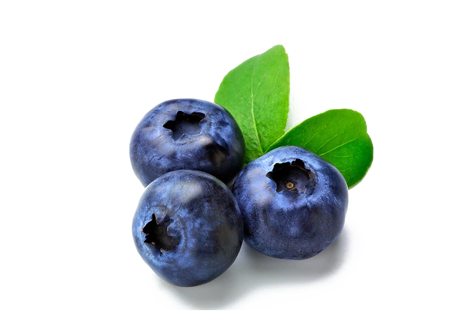 Blueberry PNG HD pngteam.com