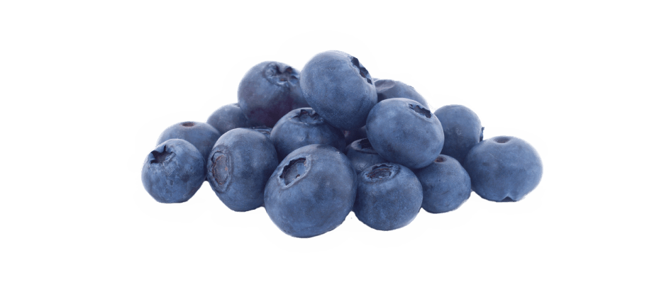 Blueberry PNG in Transparent pngteam.com