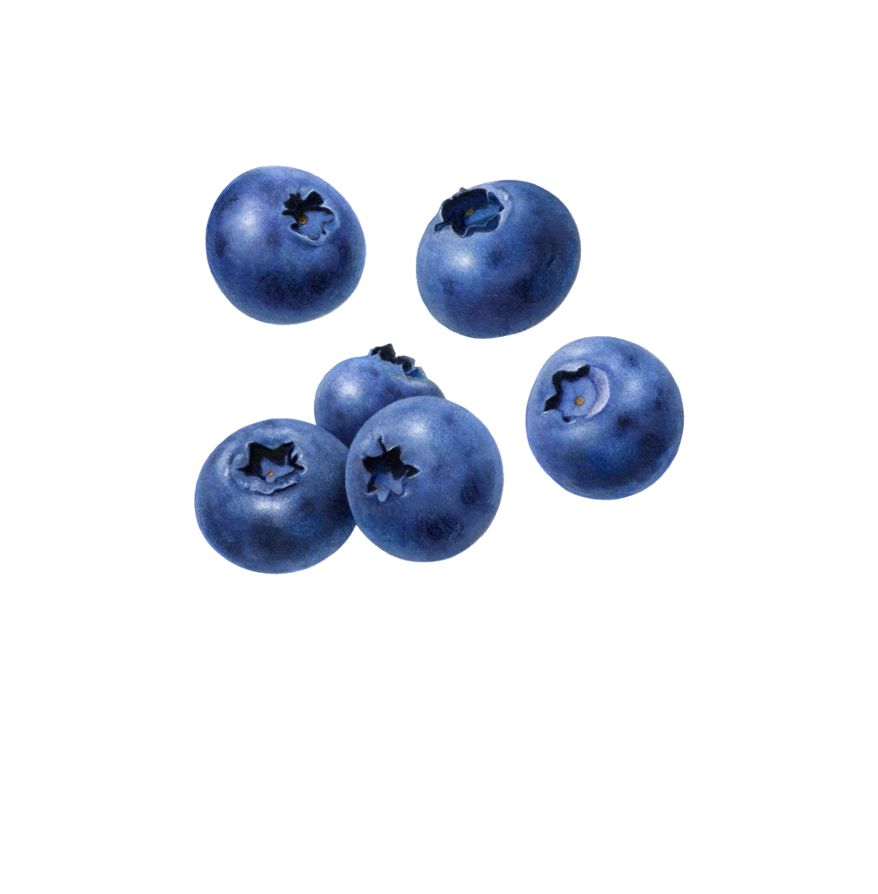 Blueberry PNG