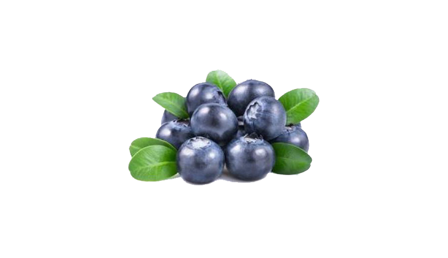 Blueberry PNG HD File pngteam.com