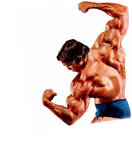 Bodybuilding PNG HD Image