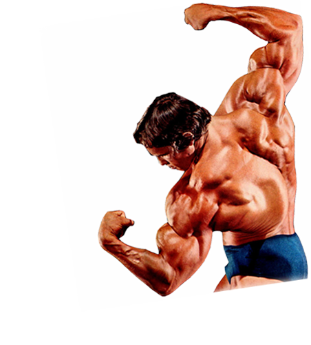 Bodybuilding PNG HD Image pngteam.com