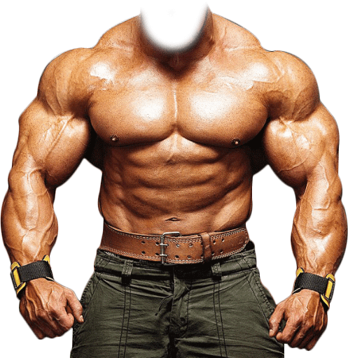 Bodybuilding PNG Picture pngteam.com