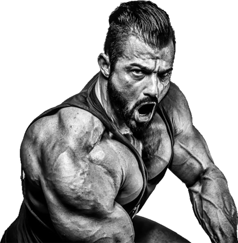 Bodybuilding PNG Picture - Bodybuilding Png