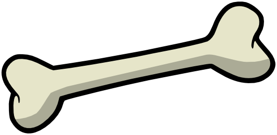 Bone PNG in Transparent - Bone Png