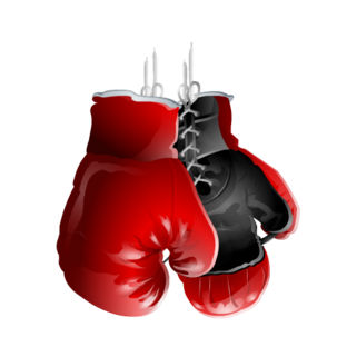 Boxing Gloves PNG Picture Transparent pngteam.com