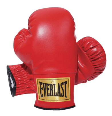 Everlast Boxing Gloves PNG HD Transparent pngteam.com