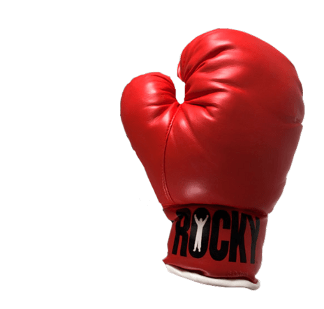 Boxing Gloves PNG HD File Transparent pngteam.com