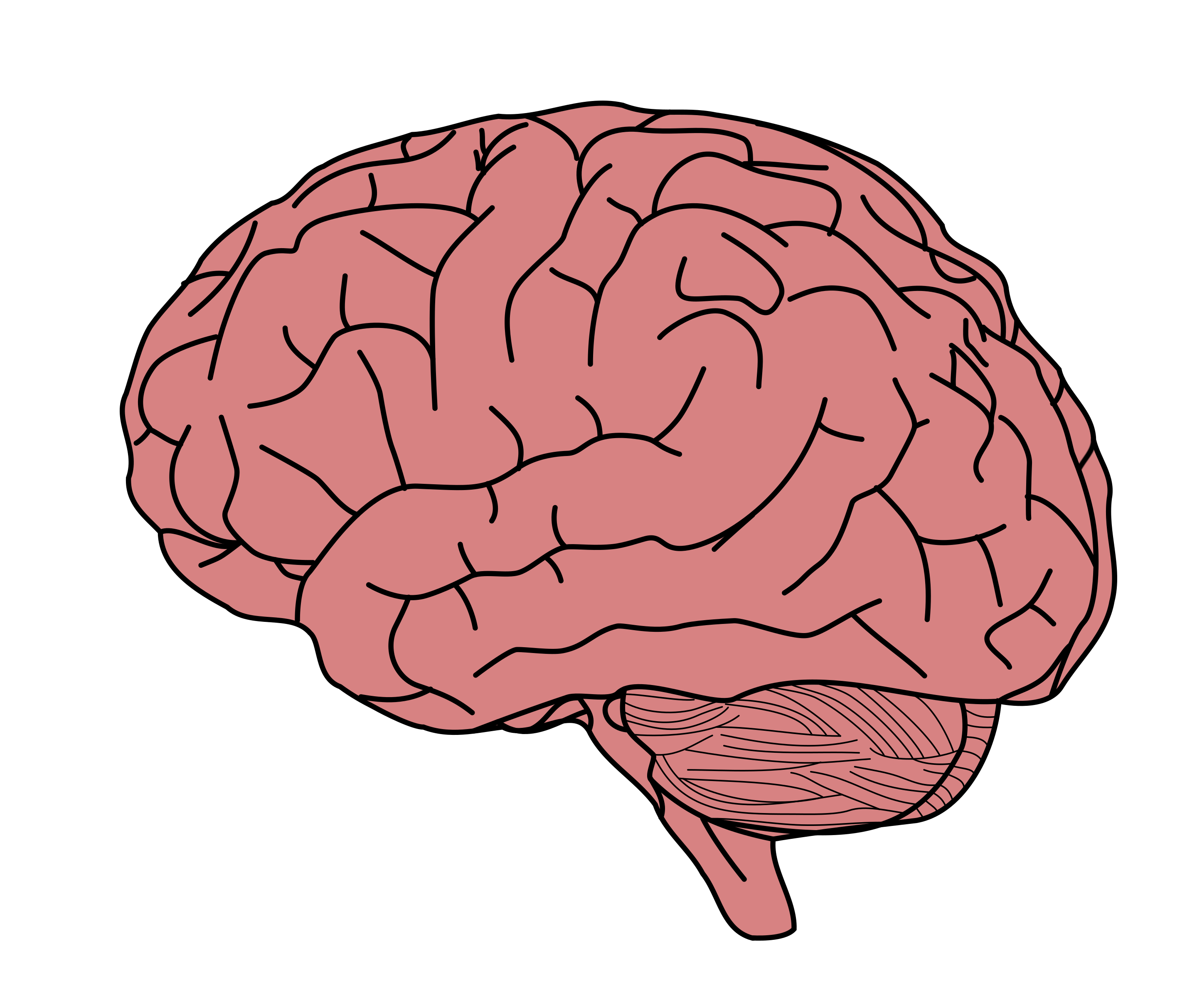 Red Brain PNG HD Images pngteam.com