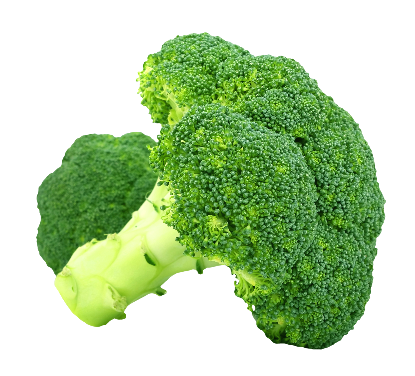 Broccoli PNG pngteam.com