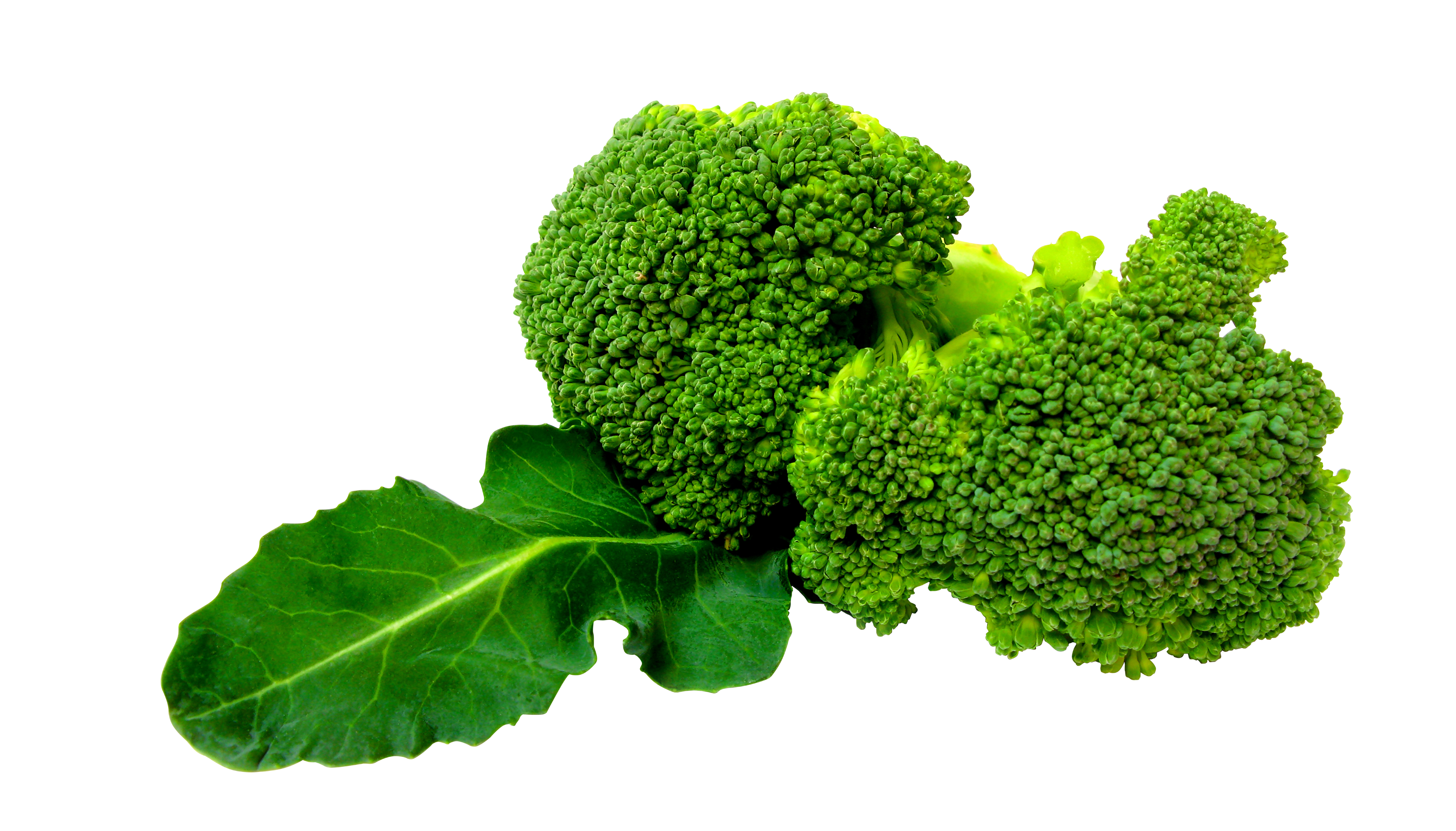 Vegetable Broccoli PNG Transparent - Broccoli Png