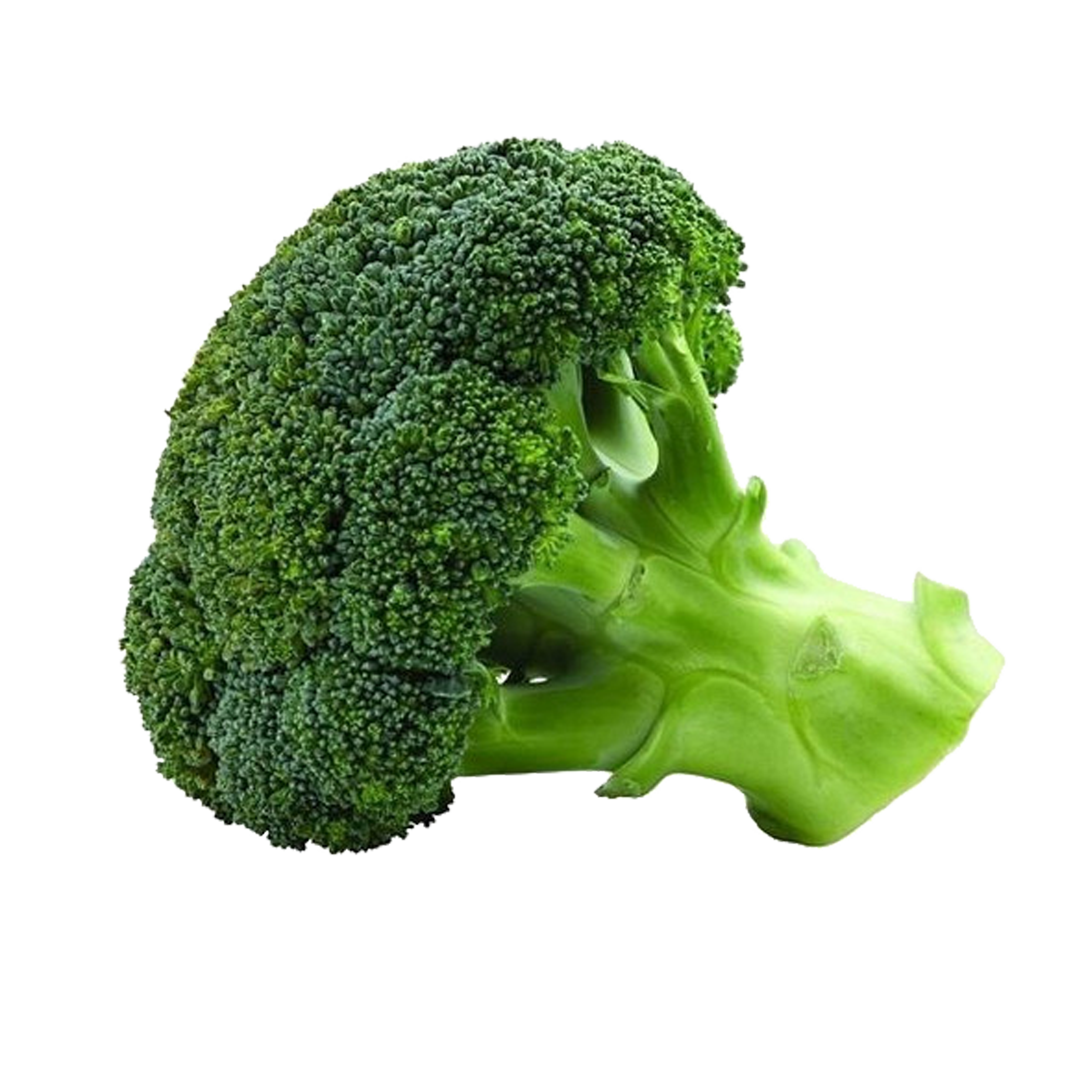 Chinese Broccoli PNG HD Images