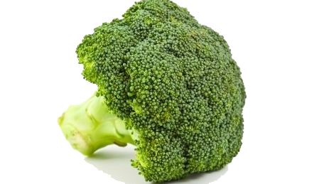 Broccoli PNG Images pngteam.com