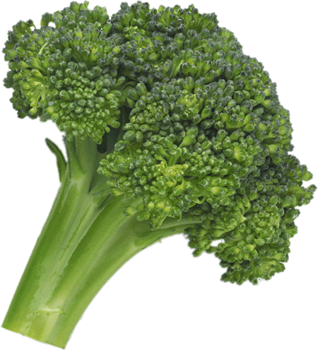 Broccoli PNG File - Broccoli Png