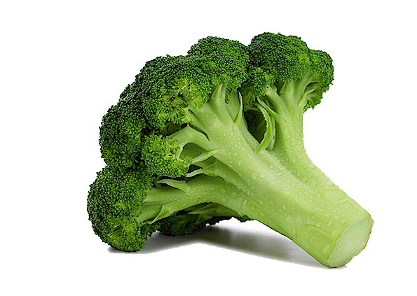 Broccoli PNG in Transparent