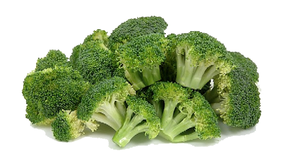 Broccoli PNG HD Images - Broccoli Png
