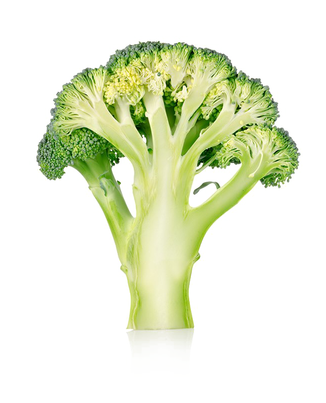 Broccoli PNG Picture