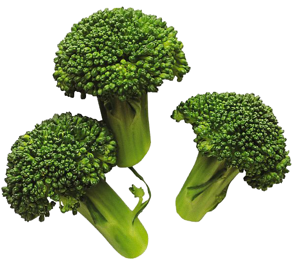 Broccoli PNG - Broccoli Png
