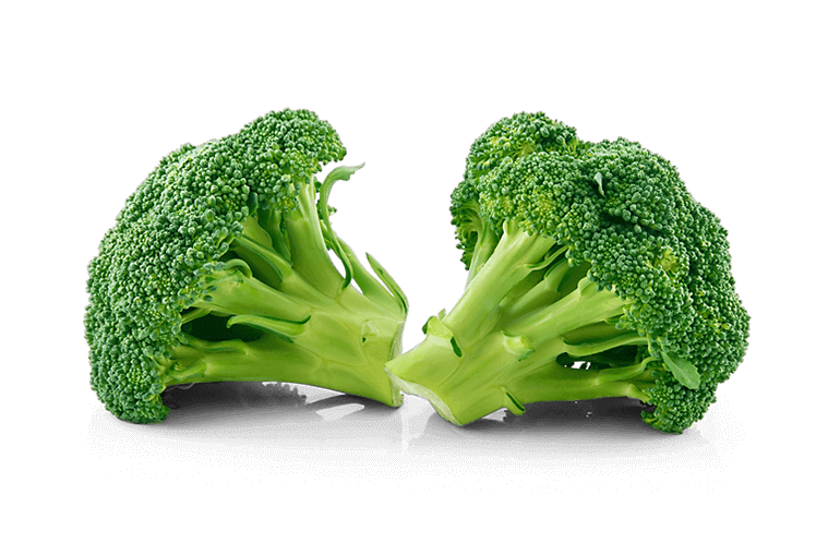 Vegetable Broccoli PNG Picture pngteam.com