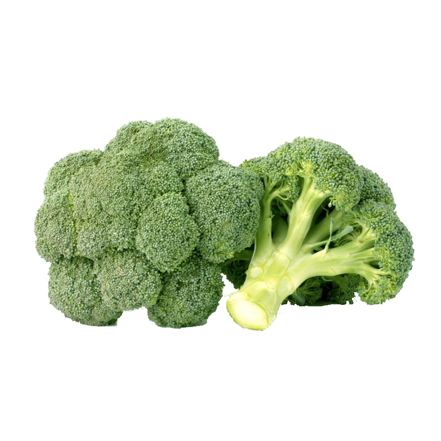 Broccoli PNG HQ - Broccoli Png