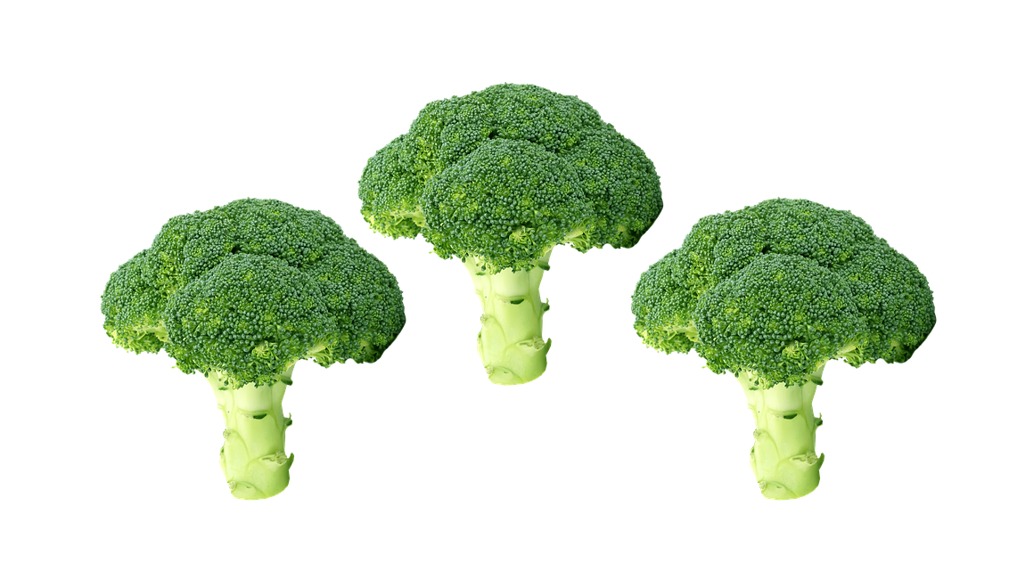 Vegetable Broccoli PNG HD Image pngteam.com